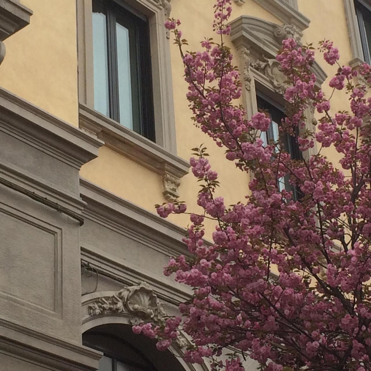 Hotel La Nuova Rotaia Gallarate Exterior foto